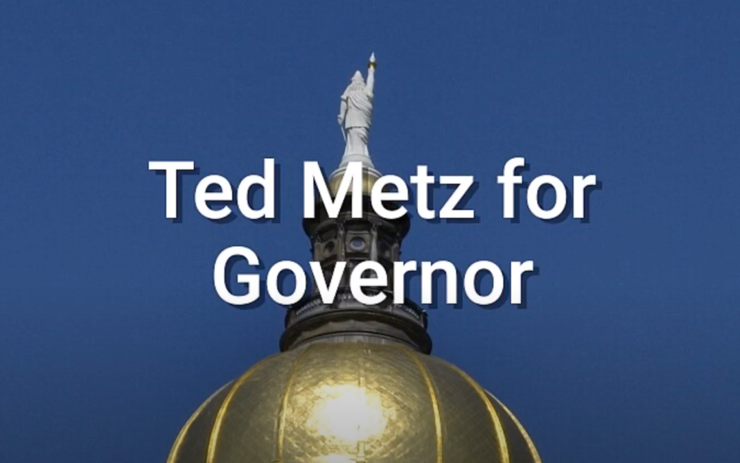 Vote Ted Metz Governor
